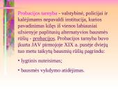 Probacija ir parolis 4 puslapis