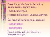 Probacija ir parolis 5 puslapis