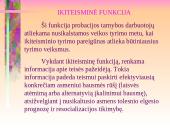 Probacija ir parolis 6 puslapis