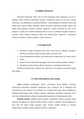 Kompiuterizuoto sekretorių kabineto įrengimas 3 puslapis