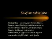 Kalėjimo subkultūra 