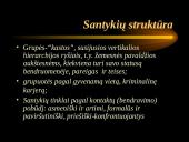 Kalėjimo subkultūra  3 puslapis