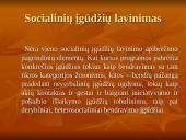 Psichologinė nuteistųjų intervencija  12 puslapis