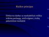 Rizikos ir poreikių įvertinimas ir korekcinis darbas  2 puslapis