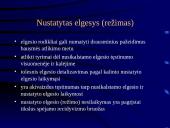 Rizikos ir poreikių įvertinimas ir korekcinis darbas  12 puslapis