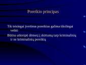 Rizikos ir poreikių įvertinimas ir korekcinis darbas  3 puslapis