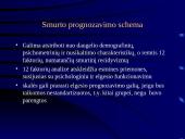 Rizikos ir poreikių įvertinimas ir korekcinis darbas  9 puslapis
