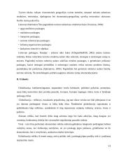 Rekreacija 11 puslapis