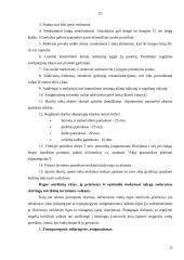 Vaikų su regėjimo sutrikimais ugdymas 13 puslapis