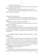 Vaikų su regėjimo sutrikimais ugdymas 16 puslapis