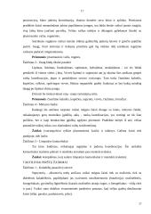 Vaikų su regėjimo sutrikimais ugdymas 17 puslapis