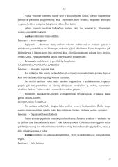 Vaikų su regėjimo sutrikimais ugdymas 19 puslapis