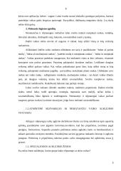 Vaikų su regėjimo sutrikimais ugdymas 8 puslapis