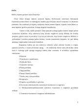 Higiena ir švarinimasis 2 puslapis