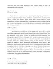 Higiena ir švarinimasis 4 puslapis