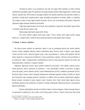 Higiena ir švarinimasis 5 puslapis