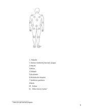Higiena ir švarinimasis 8 puslapis