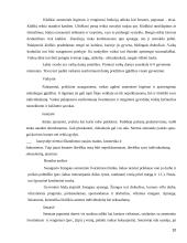 Higiena ir švarinimasis 10 puslapis