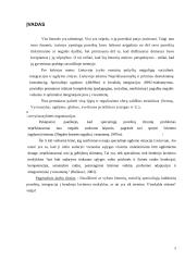 Invalidų kultūrinė integracija 2 puslapis