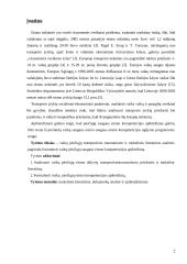 Vaikų pėsčiųjų eismo traumos 2 puslapis