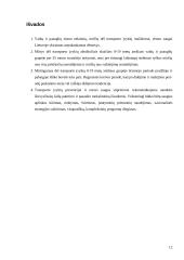 Vaikų pėsčiųjų eismo traumos 12 puslapis