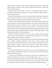 Aklųjų socialinė integracija 15 puslapis