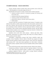 Socialinė institucija – Lietuvos darbo birža 3 puslapis