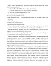 Socialinės garantijos jaunimui Lietuvoje 4 puslapis