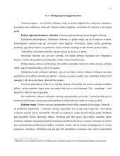 Prabangos prekių pasirinkimą nulemiantys tarptautiniai veiksniai 11 puslapis