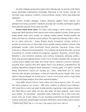 Šeimos vaidmuo švietime 12 puslapis