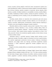 Socialinio fakto samprata 4 puslapis