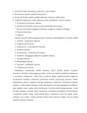 Socialinio fakto samprata 8 puslapis