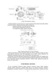 Motronic įpurškimo sistemos 13 puslapis