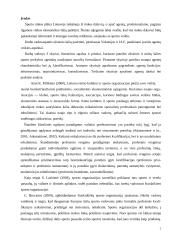 Sporto agentų veikla 2 puslapis