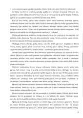 Sporto agentų veikla 18 puslapis