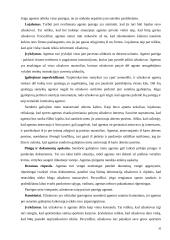 Sporto agentų veikla 20 puslapis