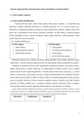 Sporto agentų veikla 4 puslapis