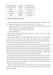 Sporto agentų veikla 5 puslapis