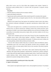 Sporto agentų veikla 8 puslapis