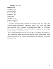 Globojamo vaiko socializacijos problemos 10 puslapis