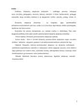 Kitataučių adaptacija mokykloje 2 puslapis