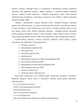 Kitataučių adaptacija mokykloje 4 puslapis