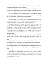 Orkestrinis menas Lietuvoje XVII-XIX amžiuje 12 puslapis