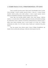 Orkestrinis menas Lietuvoje XVII-XIX amžiuje 16 puslapis