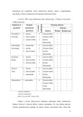 Korepetitoriavimas 16 puslapis