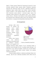 Korepetitoriavimas 17 puslapis