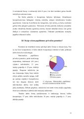 Korepetitoriavimas 20 puslapis