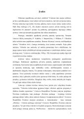 Korepetitoriavimas 3 puslapis
