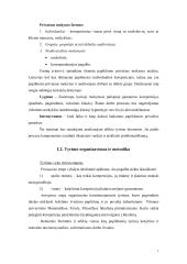 Korepetitoriavimas 7 puslapis