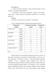 Korepetitoriavimas 8 puslapis